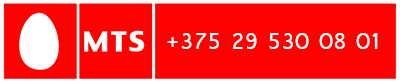 +375 29 530 08 01