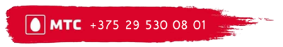 +375 29 530 08 01